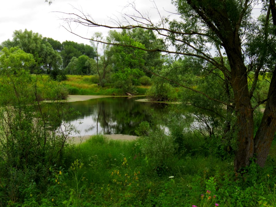 Hromadska Kozarka4