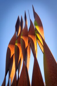 Forge fire rust