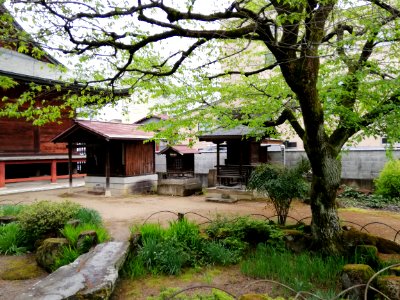 Iōzan Kokubun-ji Temple 20210502 18