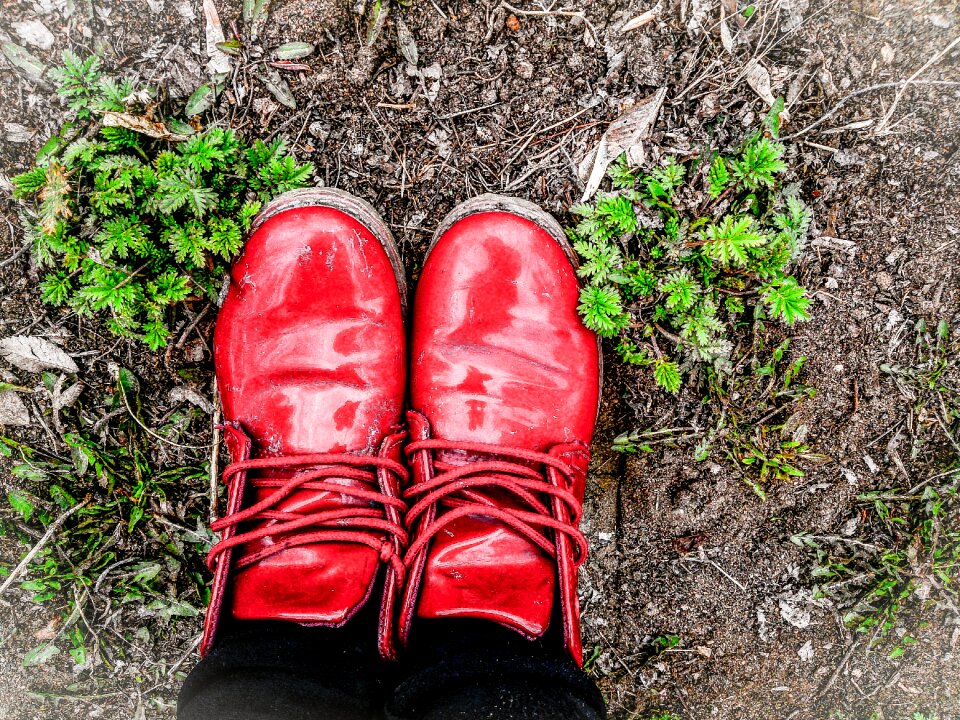 Autumn autumn shoes grass