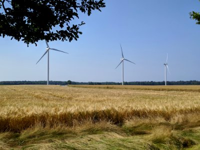 KnuthenborgWindenergy