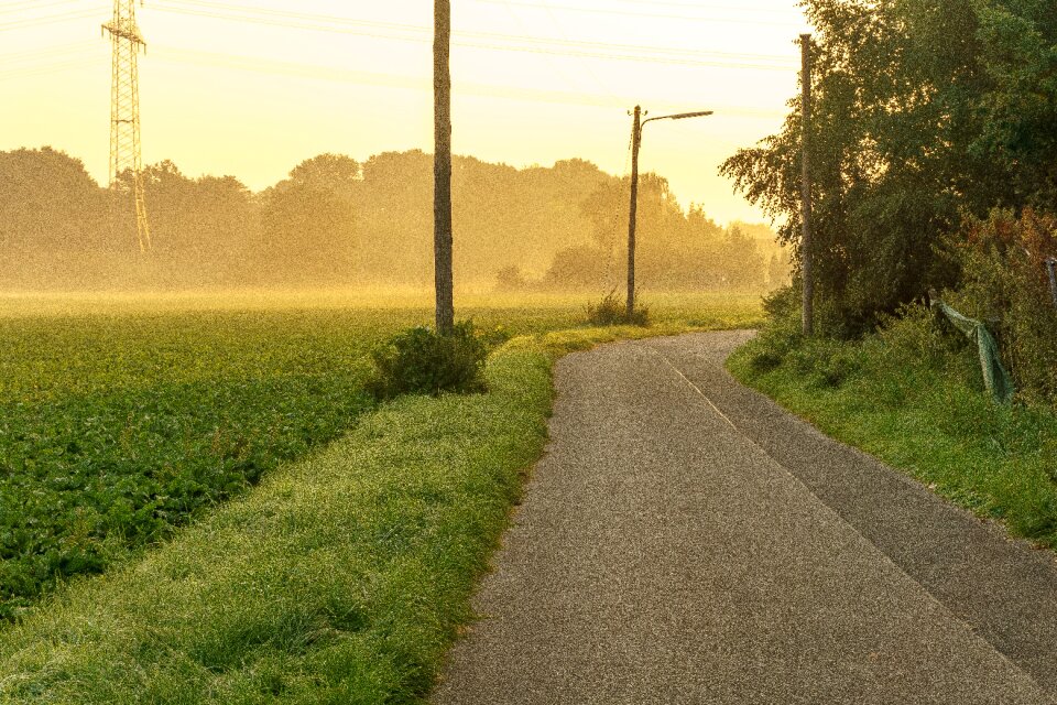 Fog landscape mood