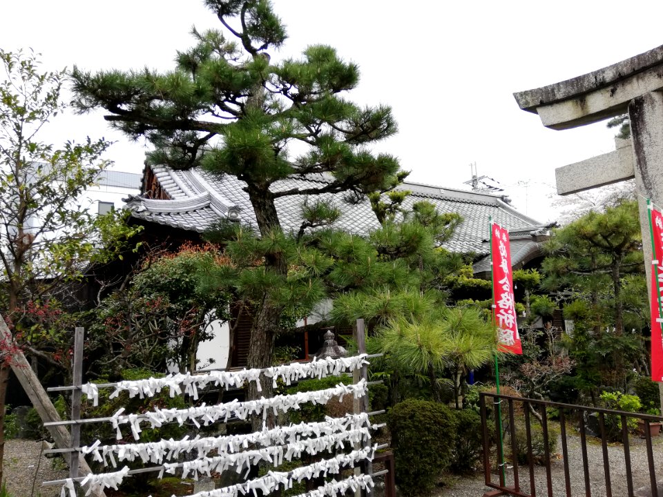 Kitano Shrine 20210330 06
