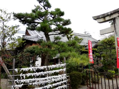 Kitano Shrine 20210330 06