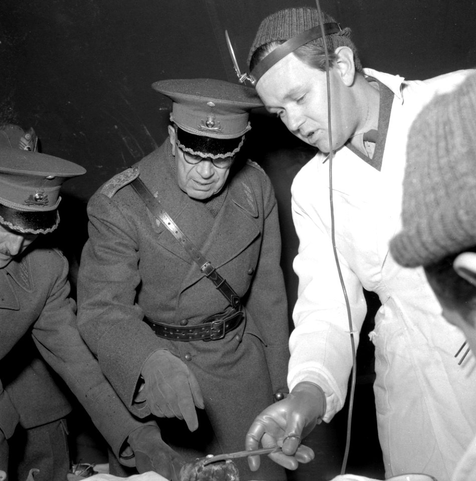 King Gustaf VI Adolf in 1956 OLM-2013-1-2466
