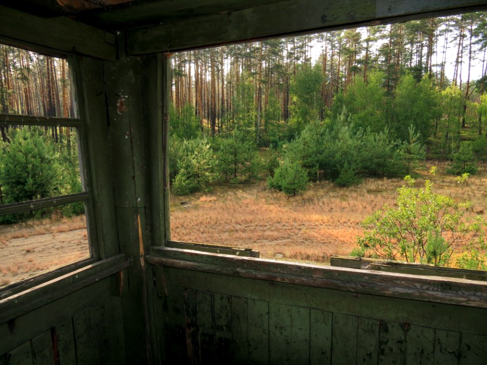 Kotsiubynske colony5