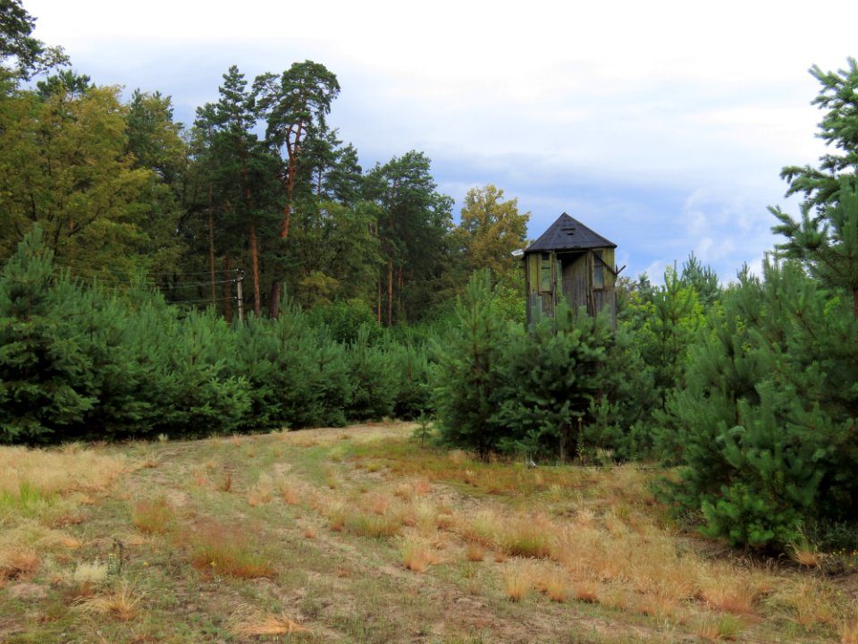 Kotsiubynske colony7
