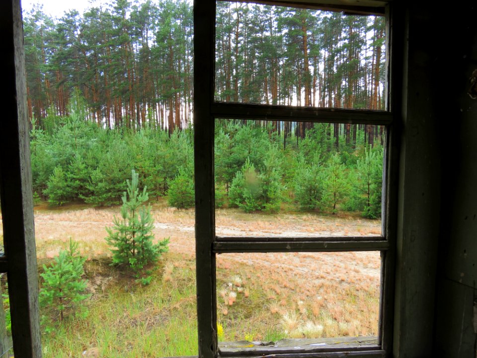 Kotsiubynske colony6