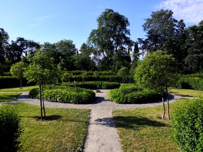 Koulupuisto, systemaattinen osasto
