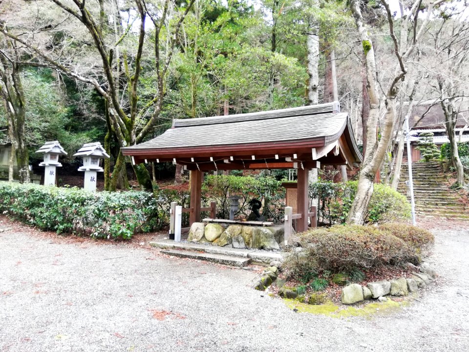 Konomiya Shrine 20210306 15