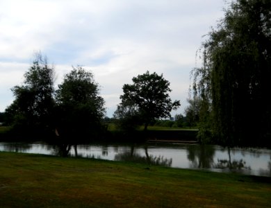 Krka, Kostanjevica na Krki