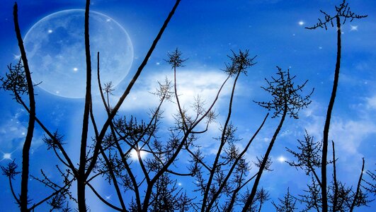 Background freshly blue moon