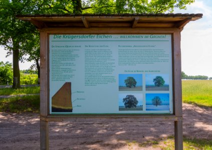 Kruegersdorfer Eichen Informationstafel 01