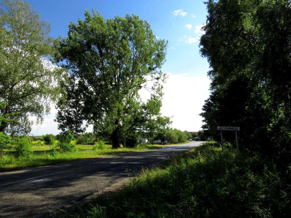 Kozyntsi (Borodianka rn)6
