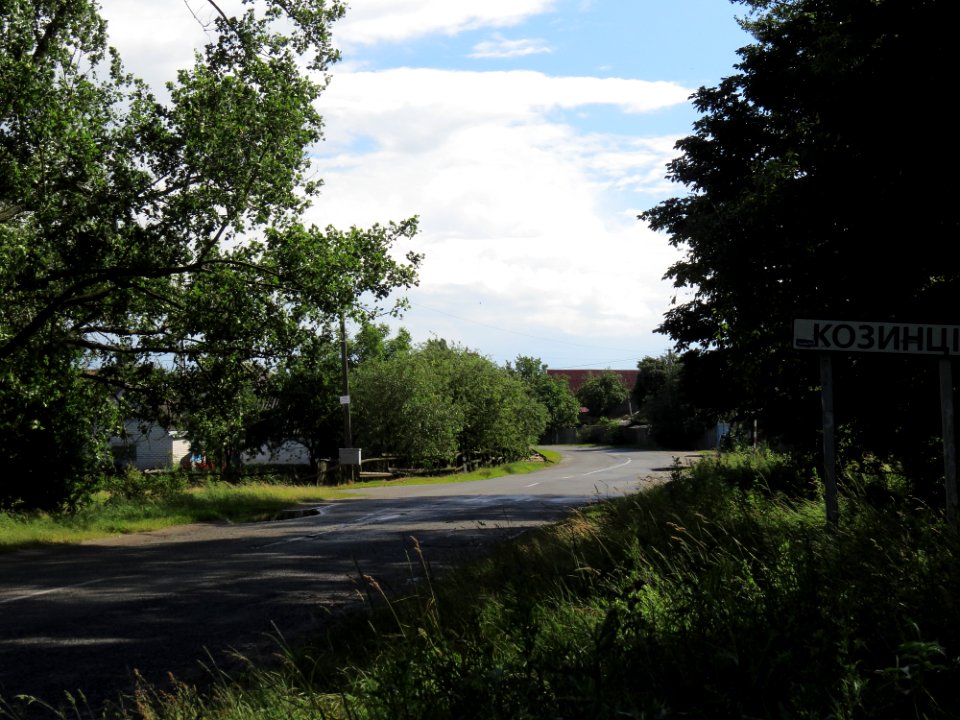 Kozyntsi (Borodianka rn)5