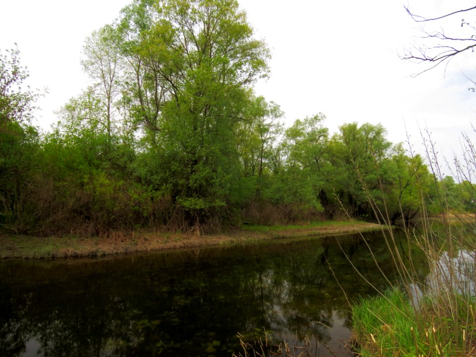 Krayniy island Kiev2
