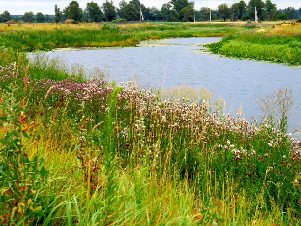 Koloden lake3