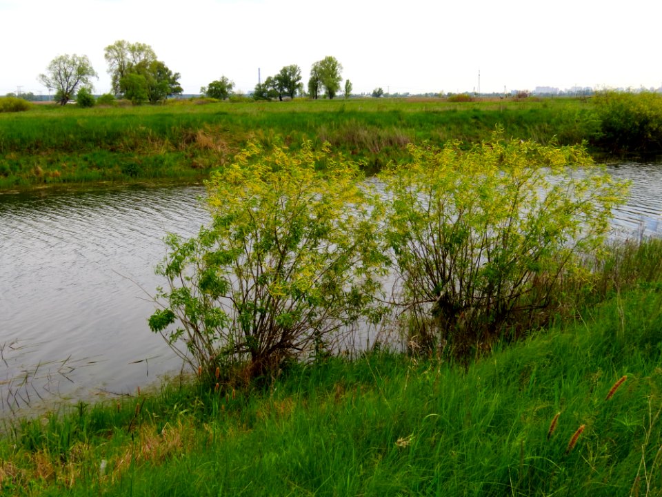 Koloden lake4