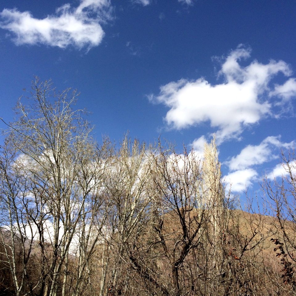 Nature of Kharv - Nishapur - 2014-03-13 - 22