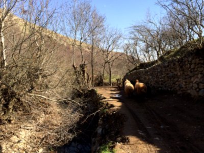 Nature of Kharv - Nishapur - 2014-03-13 - 29