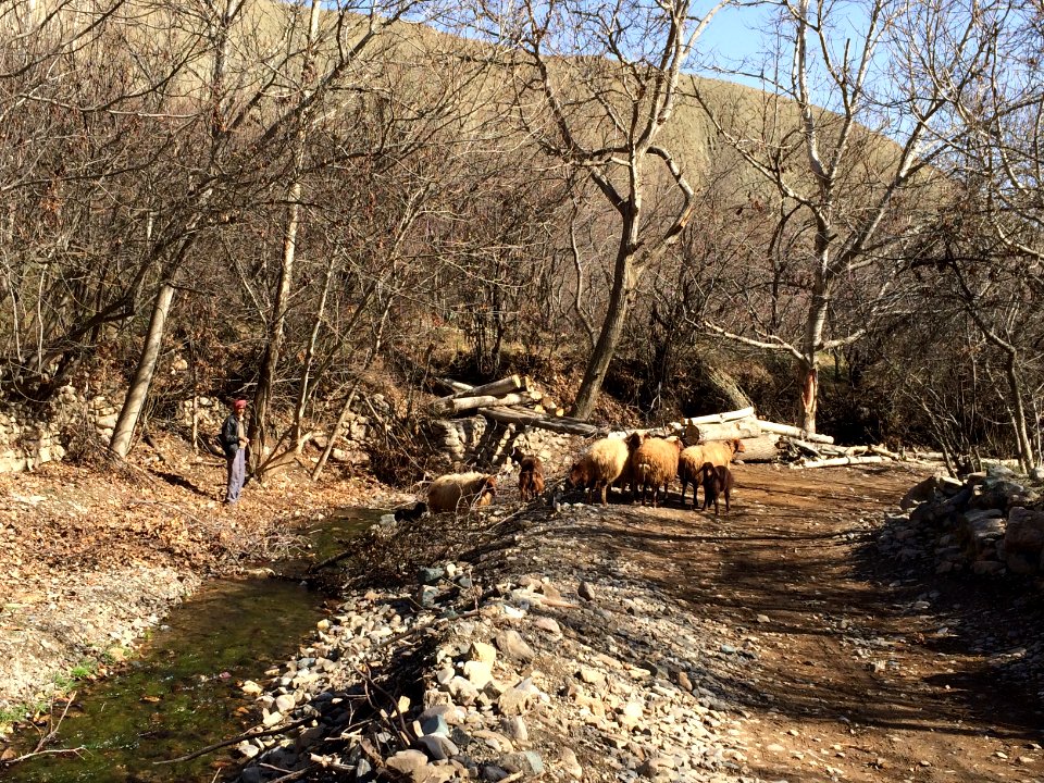 Nature of Kharv - Nishapur - 2014-03-13 - 25