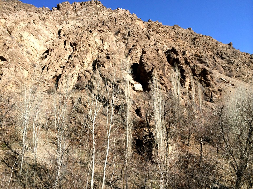 Nature of Kharv - Nishapur - 2014-03-13 - 04