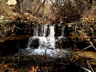 Nature of Kharv - Nishapur - 2014-03-13 - 09