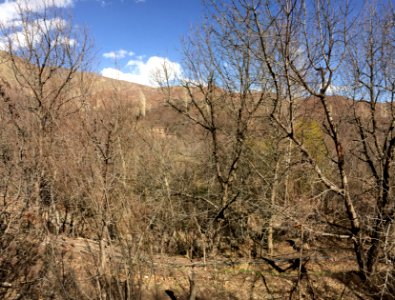 Nature of Kharv - Nishapur - 2014-03-13 - 24