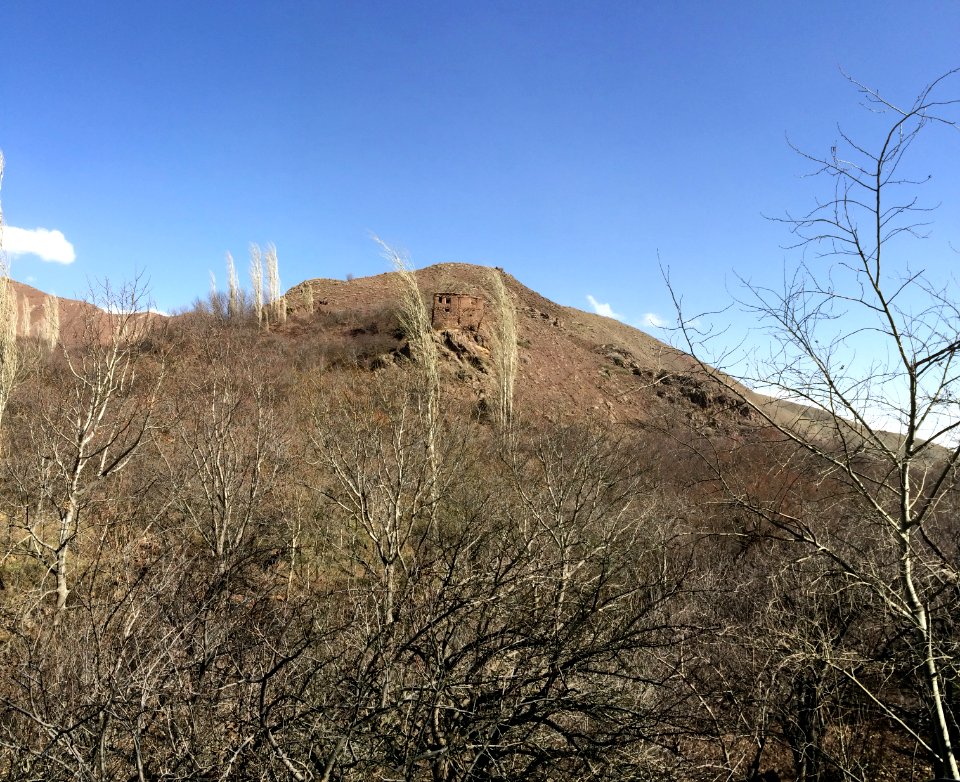 Nature of Kharv - Nishapur - 2014-03-13 - 26