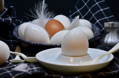 Easter cook yolk photo
