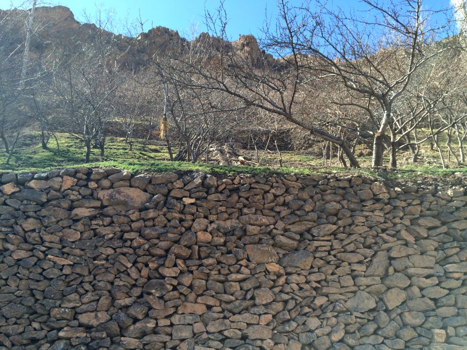 Nature of Kharv - Nishapur - 2014-03-13 - 01