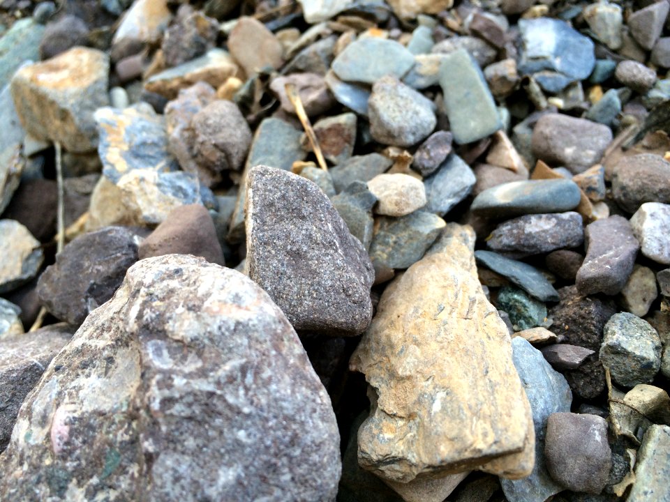 Nature of Kharv - Nishapur - 2014-03-13 - 19