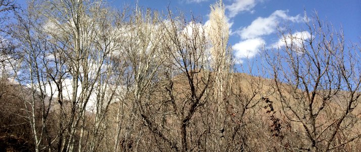 Nature of Kharv - Nishapur - 2014-03-13 - 15