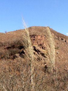 Nature of Kharv - Nishapur - 2014-03-13 - 28