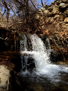 Nature of Kharv - Nishapur - 2014-03-13 - 08