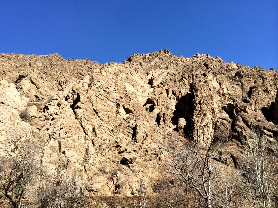 Nature of Kharv - Nishapur - 2014-03-13 - 06