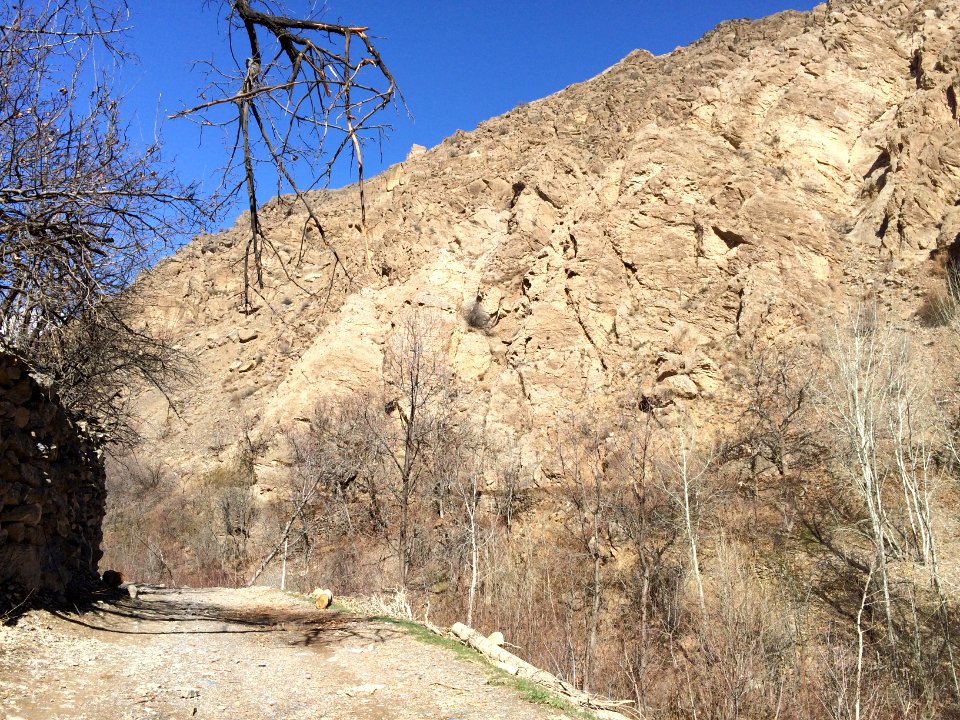 Nature of Kharv - Nishapur - 2014-03-13 - 05