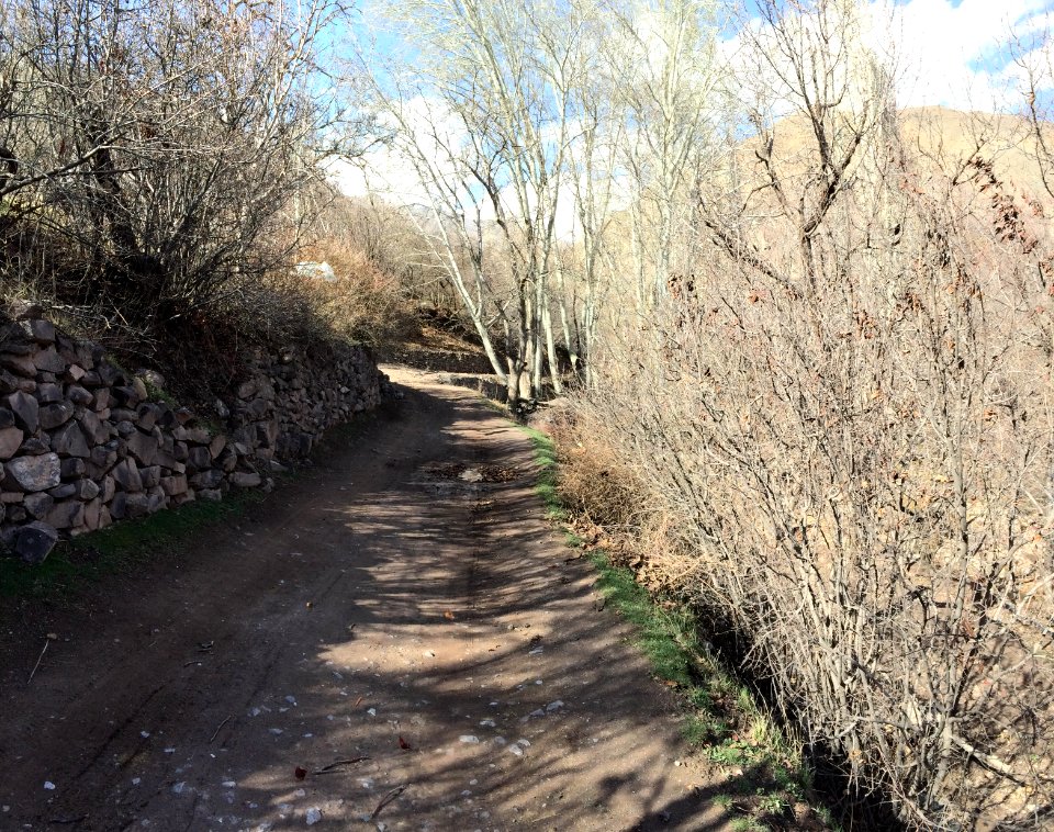 Nature of Kharv - Nishapur - 2014-03-13 - 23
