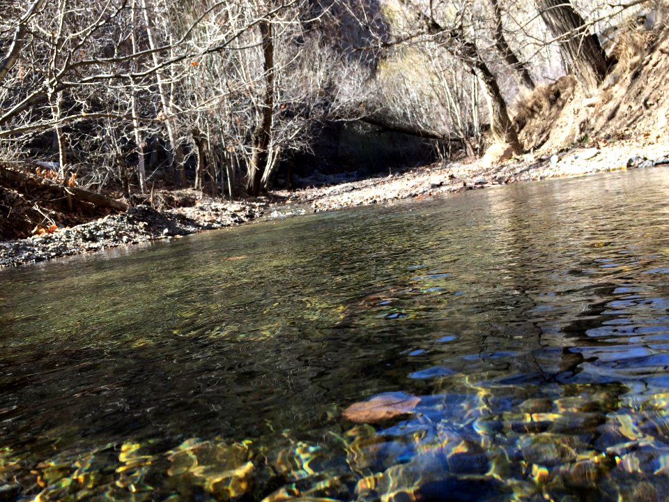 Nature of Kharv - Nishapur - 2014-03-13 - 12
