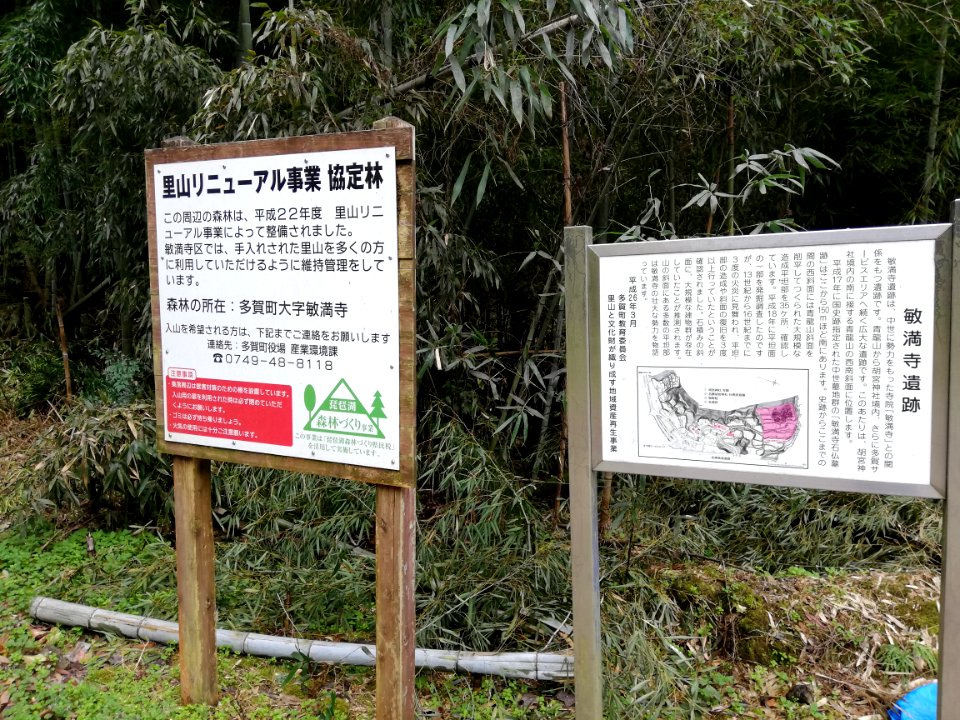 Konomiya Shrine 20210306 22