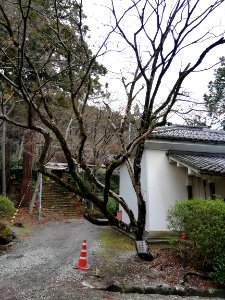 Konomiya Shrine 20210306 14