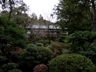 Konomiya Shrine 20210306 07