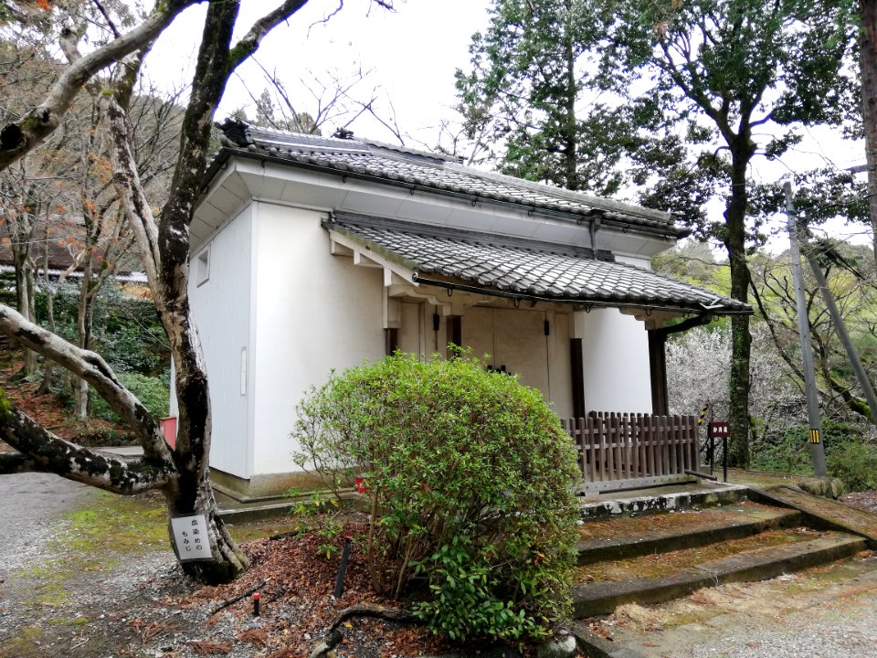 Konomiya Shrine 20210306 13