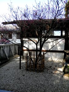 Kanō Tenmangū Shrine 20210310 10
