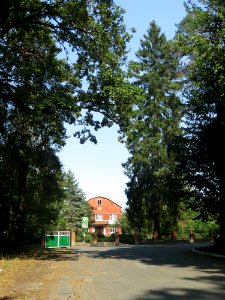 Kamyanka (Vyshhorod) forest range2