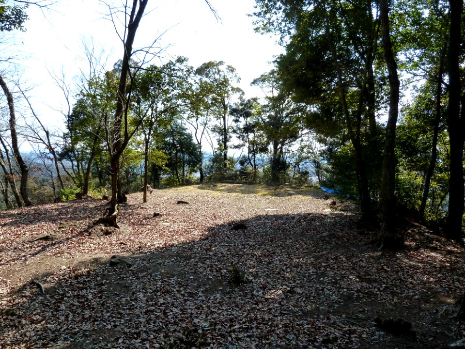 Kaneyama castle minamikoshikuruwa