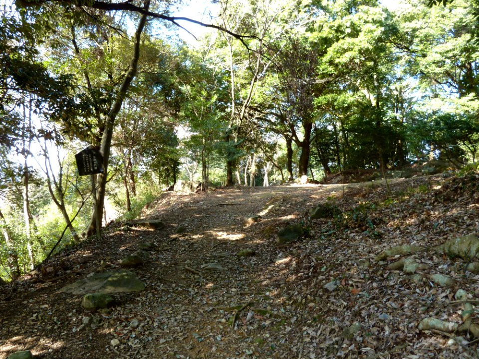Kaneyama castle sannomon