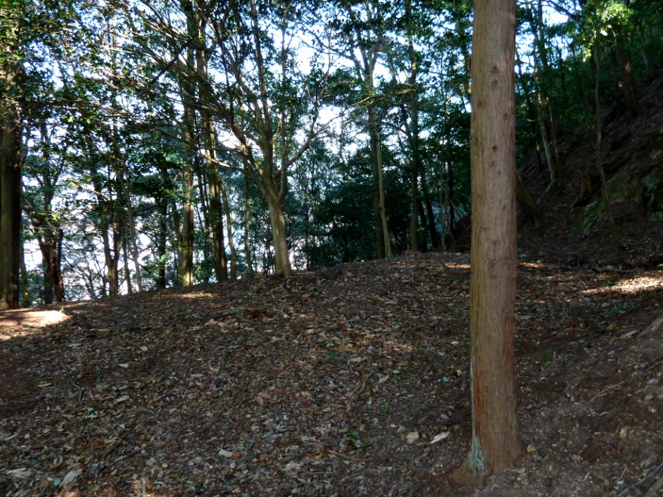Kaneyama castle hoppoumihariyagura