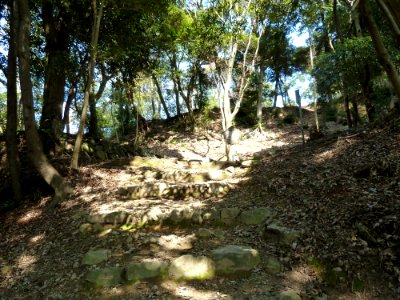 Kaneyama castle ootemon