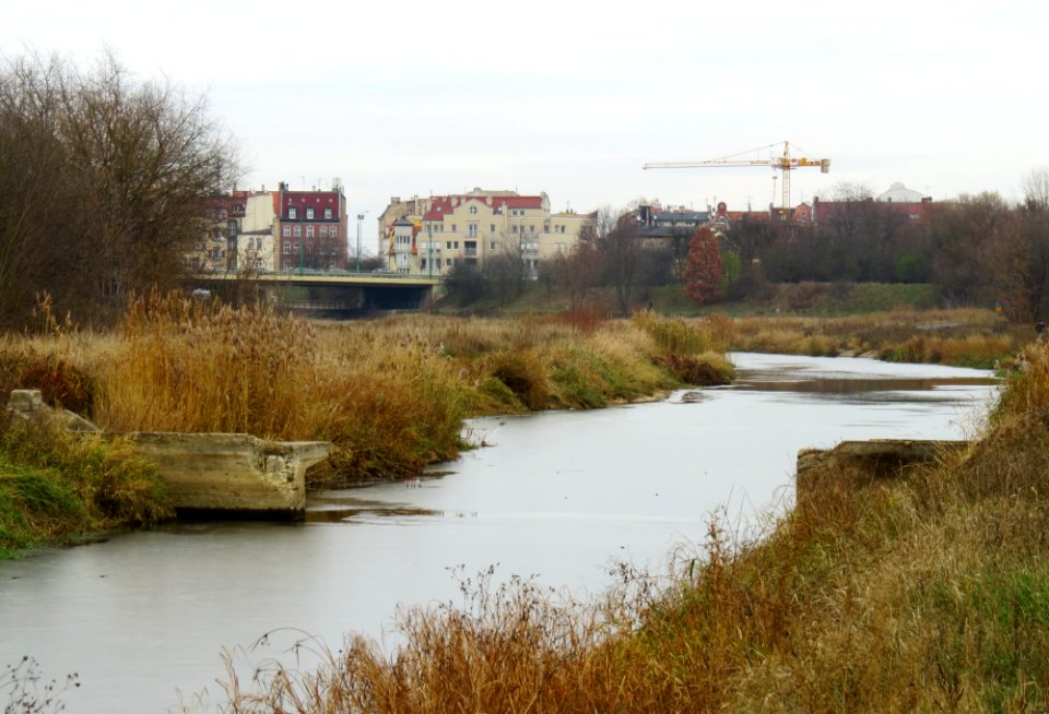 Kanał Cybina Poznań 01